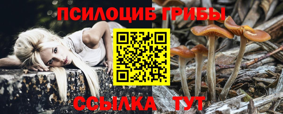 Псилоцибиновые грибы Cubensis  Вход с VPN  Псилоцибиновые грибы Magic Shrooms  Карачаевск 