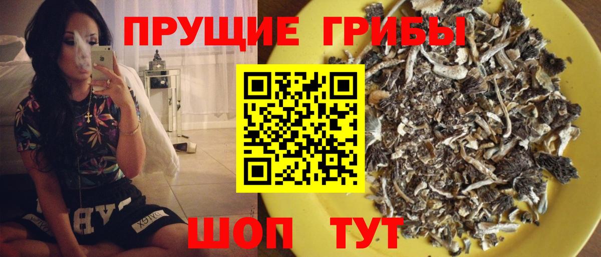 Псилоцибиновые грибы мухоморы Карачаевск